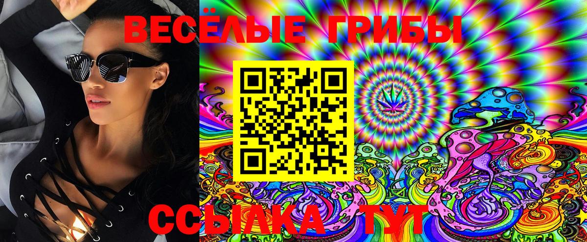 Новоуральск  Псилоцибиновые грибы Psilocybine cubensis  Вход с VPN 